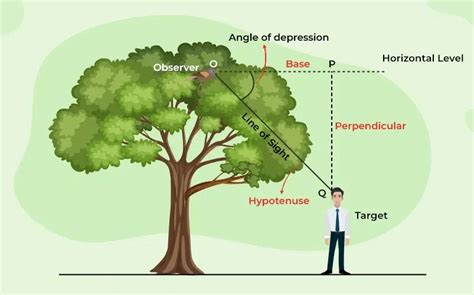 Angle Of Depression: Definition, Formula, Examples, 59% OFF