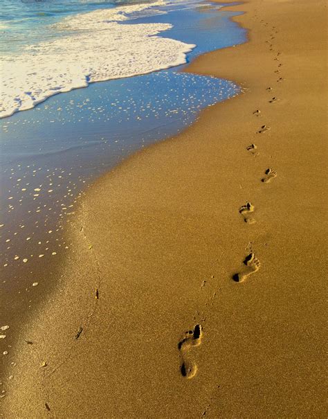 Footprints on Beach · Free Stock Photo