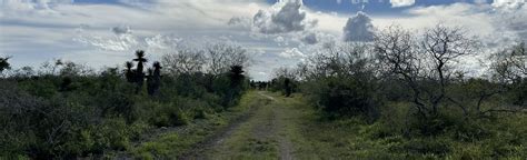 Laguna Atascosa National Wildlife Refuge Trail, Texas - 50 Reviews, Map ...