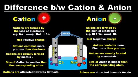 Cation vs Anion | Chemistry lessons, Informative, Chemistry