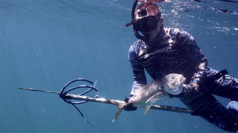 Spearfishing Tips | Spearfishing Today