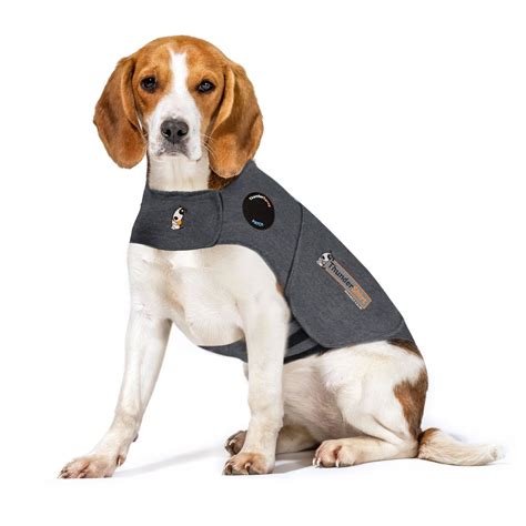 ThunderWorks Thundershirt Heather Gray Dog Anxiety Solution, Medium | Petco