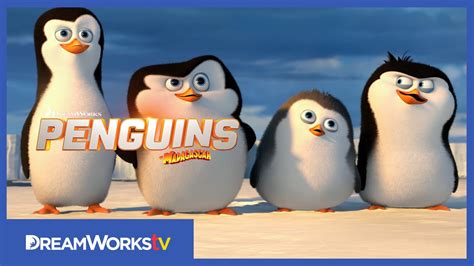 Penguins Of Madagascar Teens – Telegraph