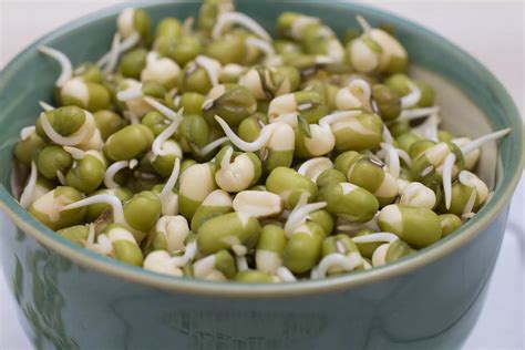 mung bean sprouts recipe indian