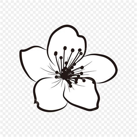 Line Drawing Flowers Clip Art | Best Flower Site