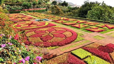 Botanical Gardens Madeira | Fasci Garden