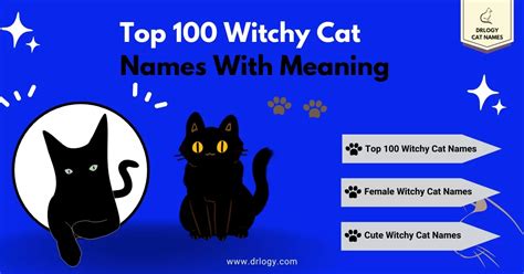 111 Best Witchy Cat Names With Meaning - Drlogy Cat Names