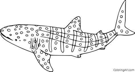 Whale Shark Printable Coloring Page Guide | Coloring page Guide