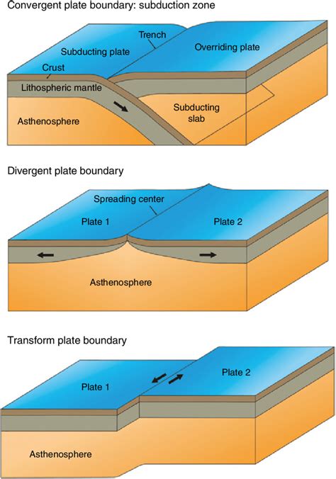 Convergent Boundaries Diagram