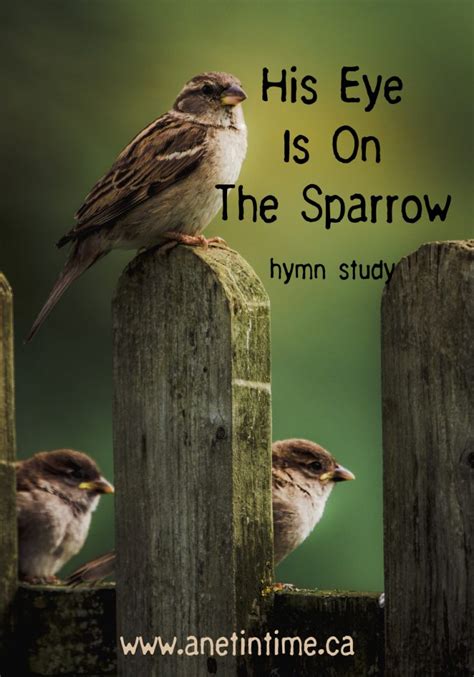 His Eye is On the Sparrow - A Net in Time