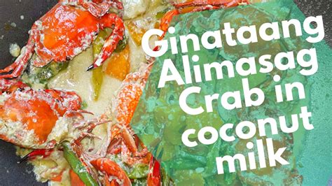 Ginataang Alimasag Crab in coconut milk