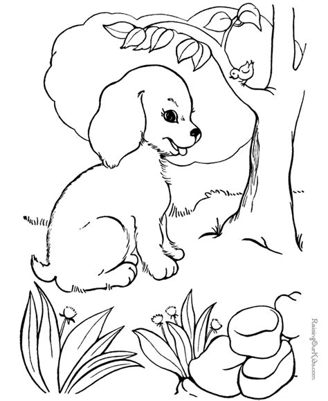 Free Coloring Pages Fluffy Dogs, Download Free Coloring Pages Fluffy ...