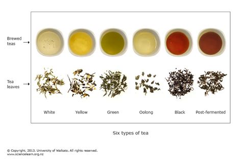 Six types of tea — Science Learning Hub