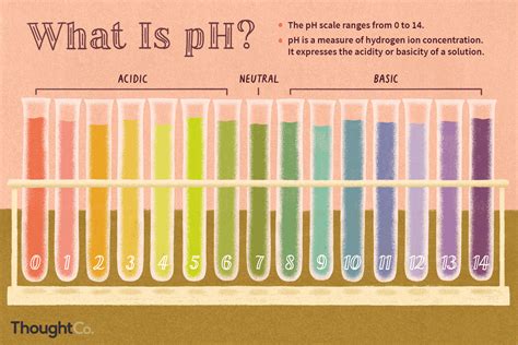 Ph Scale Horizontal