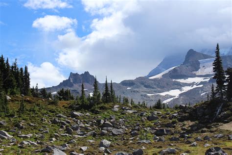 Alpine meadows and a teaser of Mount Rainier, Spray Park Trail, Mount ...