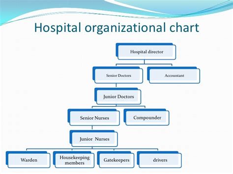 Hospital Organizational Structure Chart