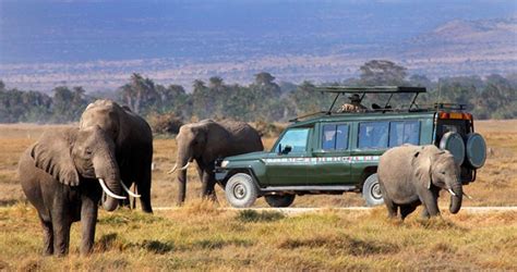 4 Days Nairobi / Masai Mara / Lake Nakuru National Park / Nairobi Lodge ...