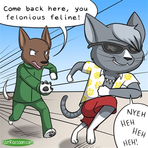 Cool Cat | KatRaccoon Comics