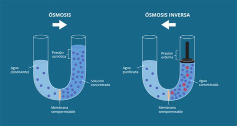 Cómo Funciona La Ósmosis Inversa Esidin Business And Engineering School