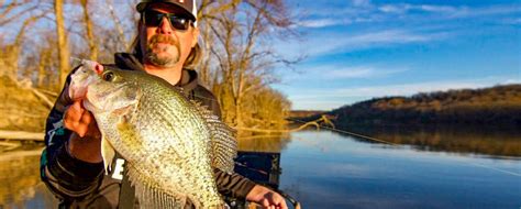 Crappie Fishing Tips – Ultimate Tricks and Techniques