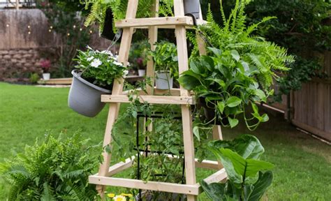 35 Trellis Ideas for a Stunning, Supported Garden