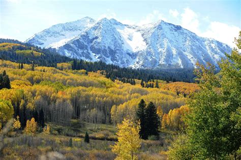 mountains, Forest, Trees, Autumn, Landscape Wallpapers HD / Desktop and ...