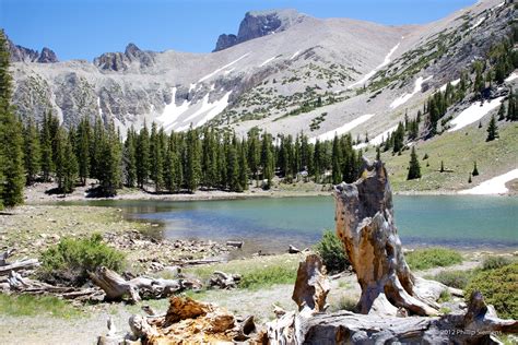 Great Basin National Park « Leakage from a Cluttered Mind