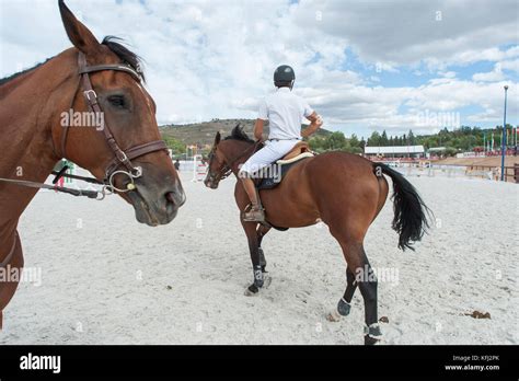 horse jumping competition Stock Photo - Alamy