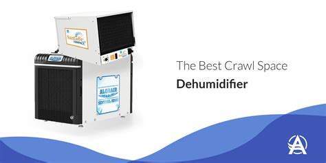 8 Best Crawl Space Dehumidifiers Reviewed (January 2025)