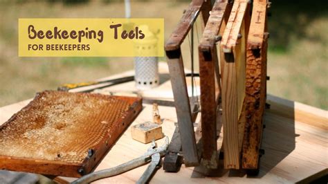 Essential Beekeeping Tools - Honey Garage