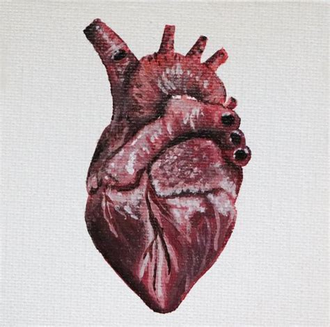 Tiny Anatomical Heart Painting by Annabelle Fandozzi | Saatchi Art