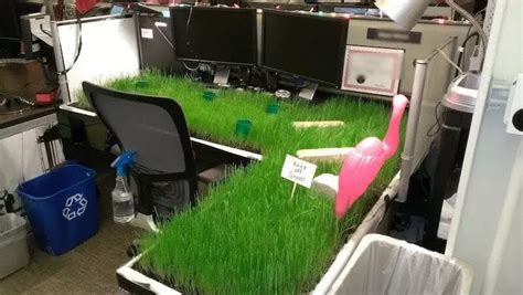 Office Desk Pranks Ideas - Simple Work Table