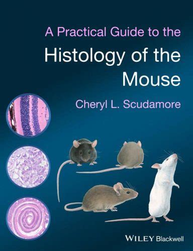 A Practical Guide to the Histology of the Mouse | VetBooks