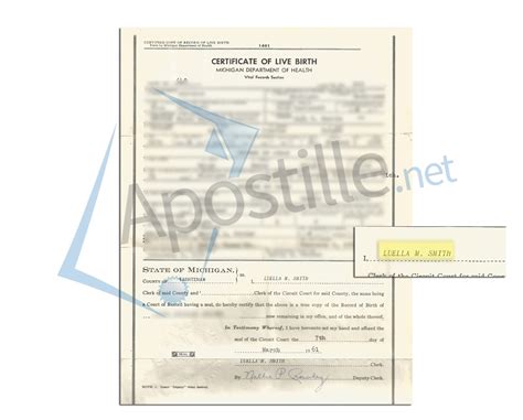 County of Washtenaw State of Michigan Birth Certificate issued by ...