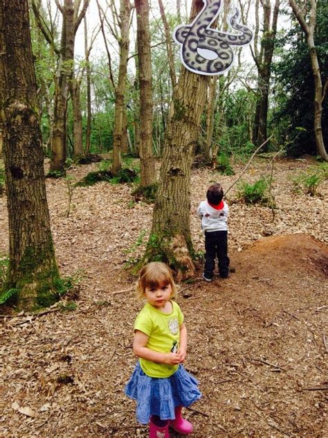 Gruffalo Trail - Delamere Forest - Mini Travellers - Family Travel ...