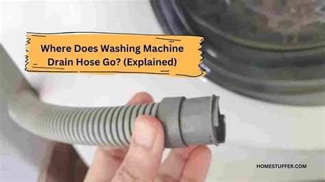 Where Does Washing Machine Drain Hose Go? (Explained)