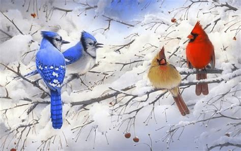 Winter Cardinal Wallpapers - Top Free Winter Cardinal Backgrounds ...