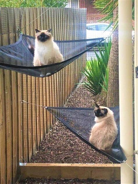 Cat Enclosures — Pet Nets Victoria Cat Enclosures | Outdoor cat ...