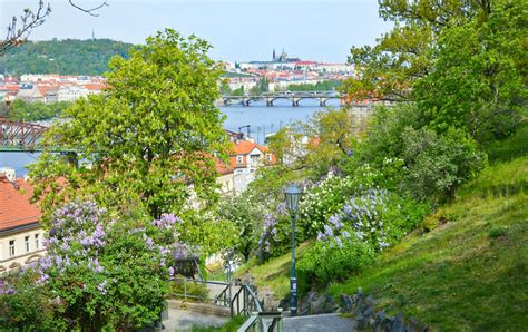 Vyšehrad Hillside Park | Prague's Best Places