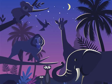 Night safari by mia on Dribbble