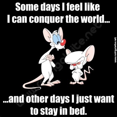 Pinky And The Brain Meme What Are We Doing Today