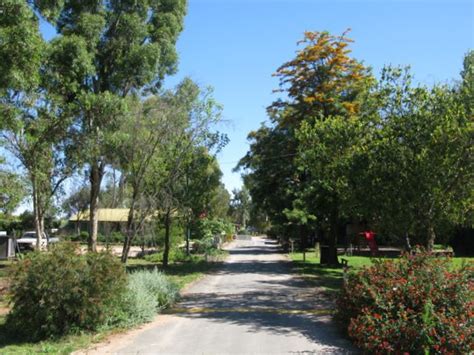 River Road Caravan Park - Mildura Entrance to the Caravan Park