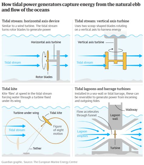 What is Tidal Energy? Advantages, Disadvantages, and Future Trends ...