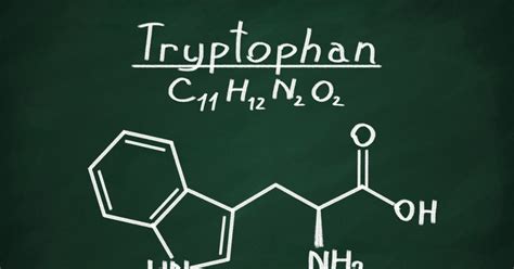 The Health Benefits of Tryptophan - Facty Health