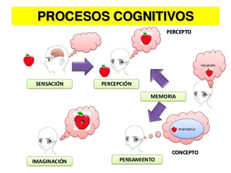 Procesos Cognitivos Y Metacognitivos 17 Images - Estrategias Cognitivas ...