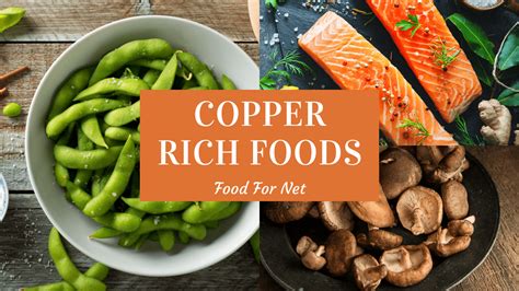 Best Foods High In Copper And Their Health Benefits