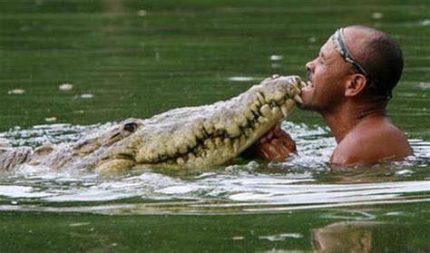 Pet Crocodile (5 pics)