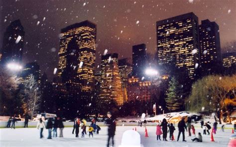 Ice Skate in Central Park | Christmas in new york aesthetic, New york ...