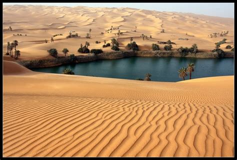 Oasis in the Sahara Desert - Photorator