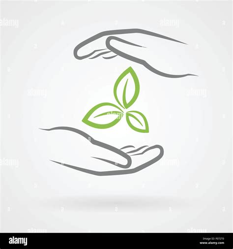 Hands with green leaves icon as environmental protection concept vector ...